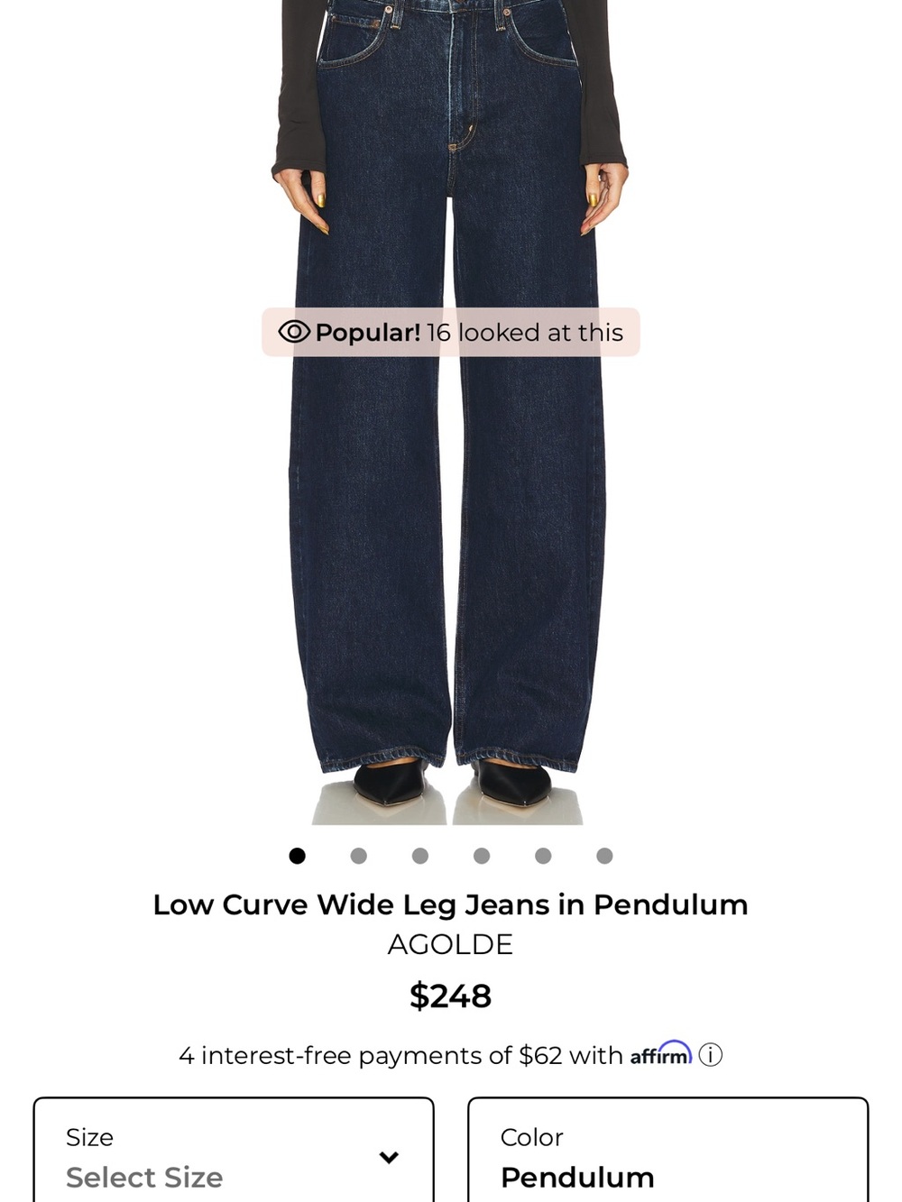 Agolde Wide Leg Low Curve Jeans in Pendulum